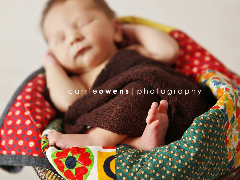 Newborn Photography in Salt Lake City Utah baby in chicken wire basket with quilt by newborn photographer Carrie Owens