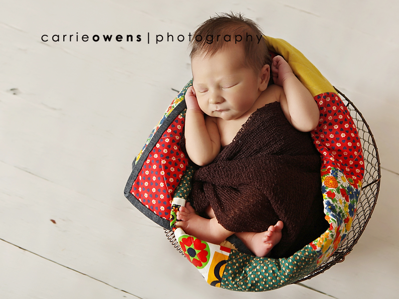 Newborn Photography in Salt Lake City Utah baby in chicken wire basket with quilt by newborn photographer Carrie Owens