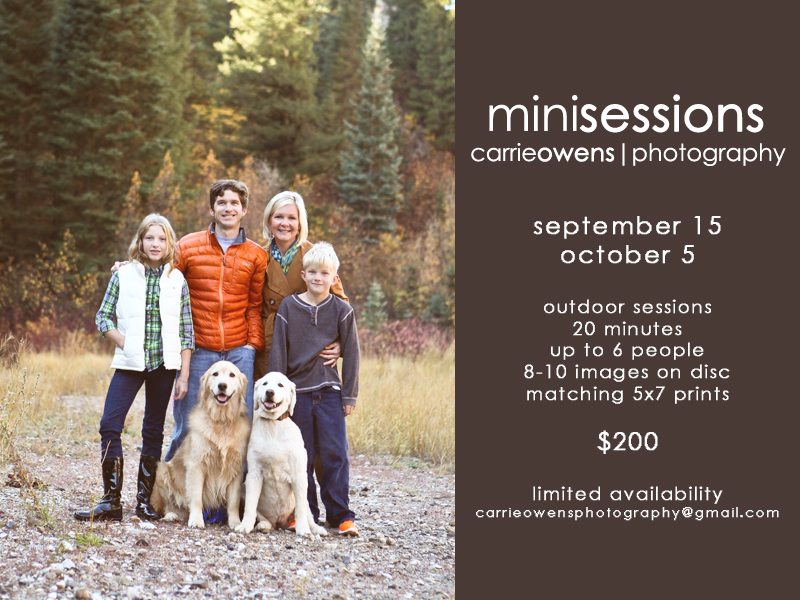 mini sessions 2013 fall mini sessions for salt lake city utah photographer carrie owens
