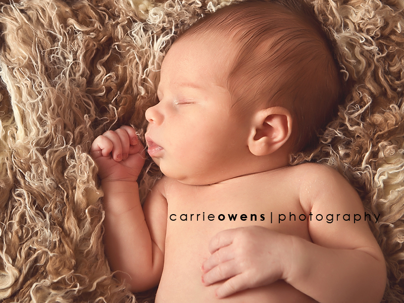 salt lake city utah newborn photographer Carrie Owens captures images of baby boy