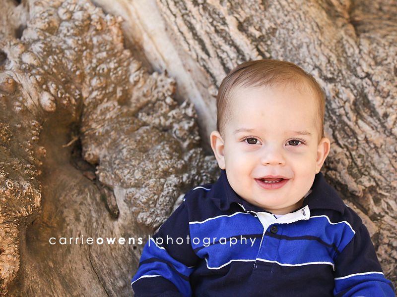 salt lake city baby photographer Carrie Owens captures year old boy by tree