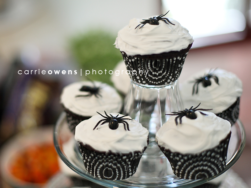 Salt Lake City Utah photographer halloween cupcakes