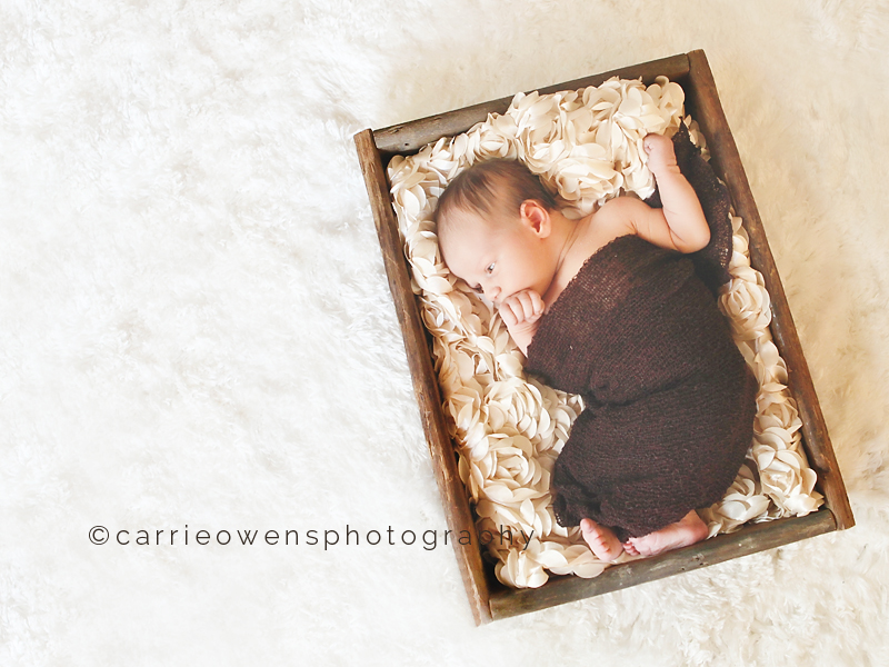 baby girl snuggled| carrie owens photography |salt lake city utah newborn photographer