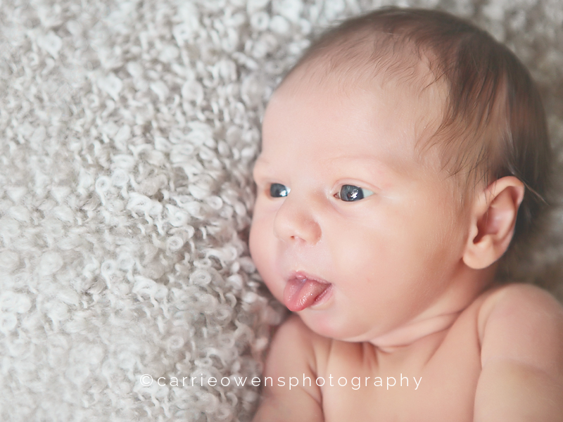 awake baby girl with tongue out | carrie owens photography |salt lake city utah newborn photographer