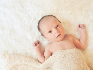 awake baby girl | carrie owens photography |salt lake city utah newborn photographer
