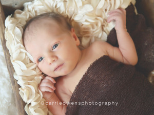 awake baby girl with rose blanket | carrie owens photography |salt lake city utah newborn photographer