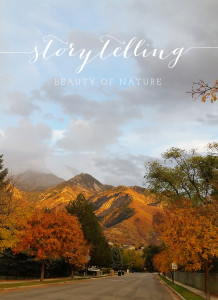 Salt Lake City Utah photographer Carrie Owens documents the beauty in the everyday through nature